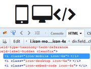 Taxonomy icon classes - output