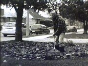 The Leaves (2006)