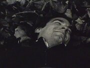 The Leaves (2006)