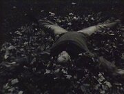 The Leaves (2006)