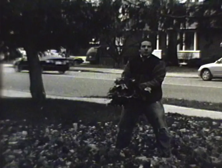 The Leaves (2006)